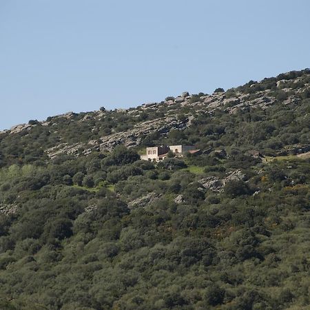 Campi Elisi B&B Sassari Exteriér fotografie