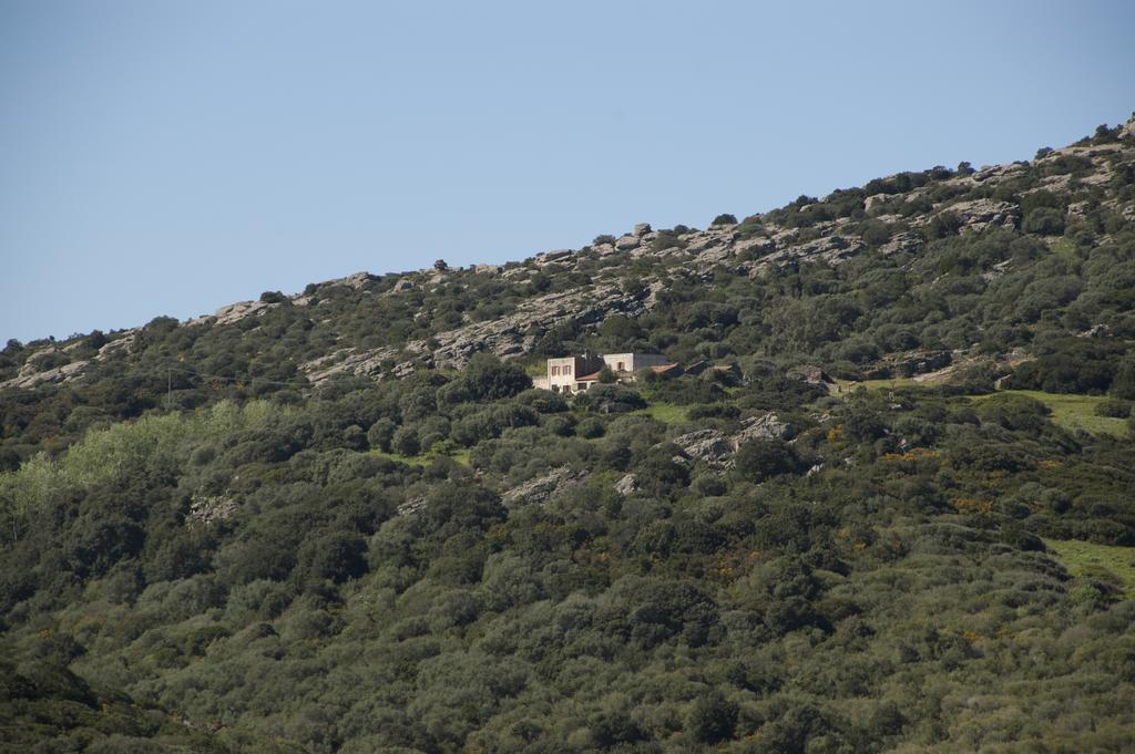 Campi Elisi B&B Sassari Exteriér fotografie